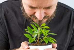 A Linguagem Secreta das Plantas
