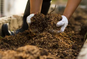 Compostagem Doméstica com pouco espaço