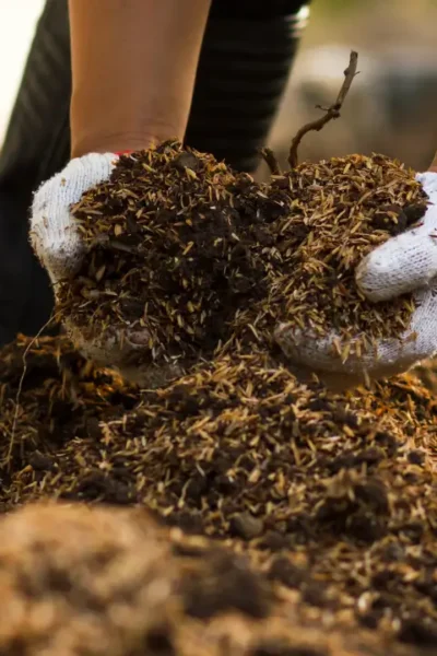 Compostagem Doméstica com pouco espaço