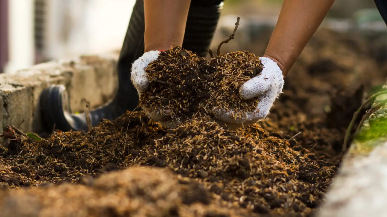 Compostagem Doméstica com pouco espaço