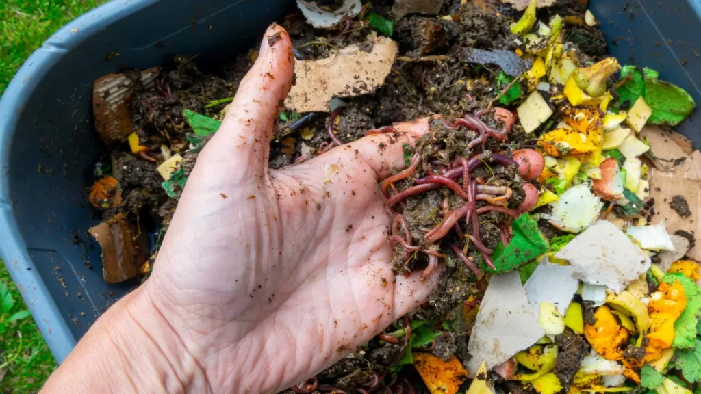 compostagem domestica com pouco espaço