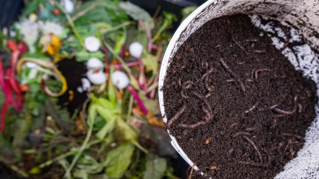 Dúvidas Frequentes sobre Compostagem Doméstica
