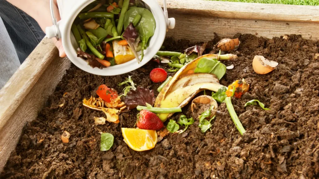 compostagem domestica com pouco espaço