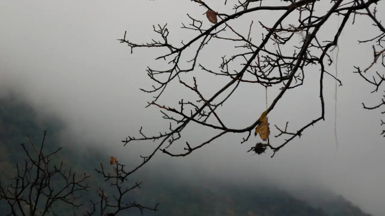 roteiro 3 dias campos do jordão
