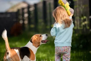 Ritual de 7 Minutos que Acalma Pets