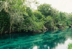 ecoturismo no Brasil