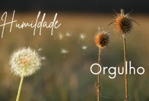 orgulho e humildade
