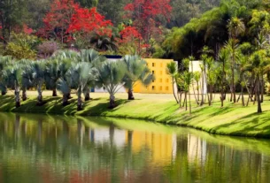 Inhotim guia de visita