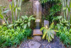 Plantas Purificadoras de Ar para Ambientes Pequenos