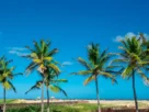 como chegar a Aracaju