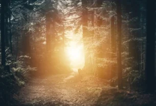 A Porta Estreita caminho espiritual evolução propósito de vida