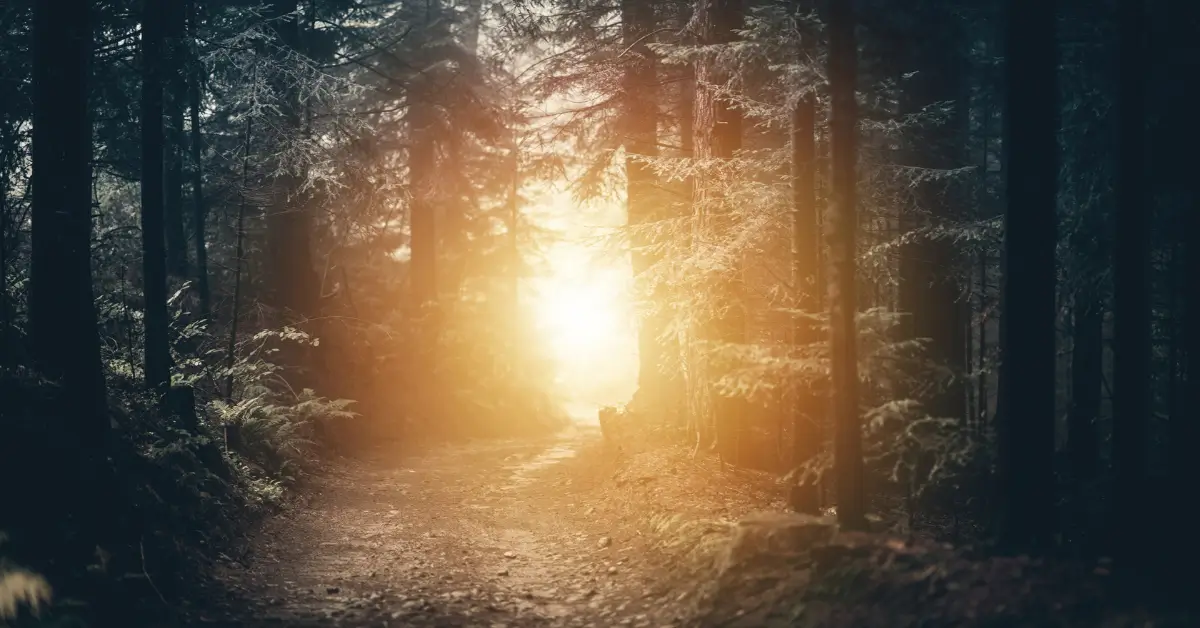 A Porta Estreita caminho espiritual evolução propósito de vida