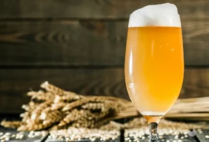 Festival Oktoberaba 2025 no Parque Fernando Costa em Uberaba, marco do movimento “Do Boom da Oktoberaba à Venda 24h” no mercado cervejeiro.