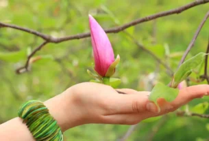 Mão tocando folha de planta exuberante, simbolizando a linguagem secreta das plantas e seus sinais