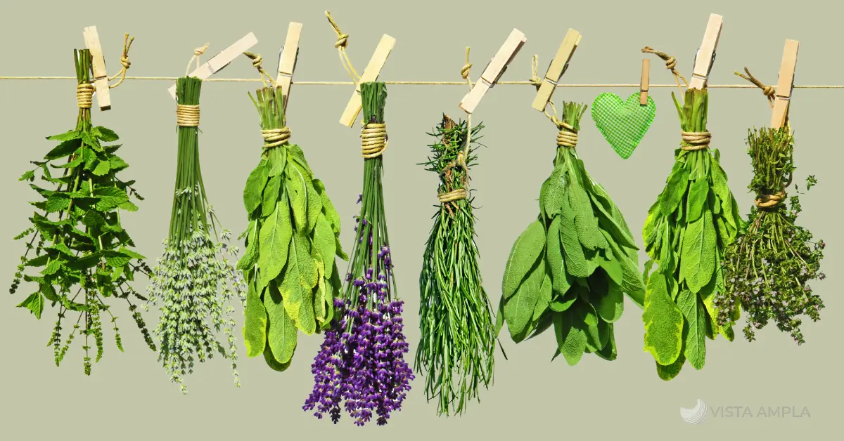 7 ervas mais poderosas de limpeza