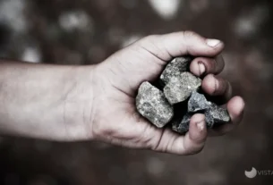 O Perdão Libertador