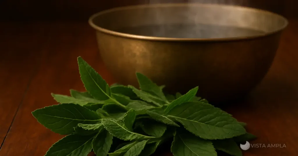 banho de boldo - O Banho que te Devolve a Paz: Guia Passo a Passo do Boldo da Cabeça aos Pés.
