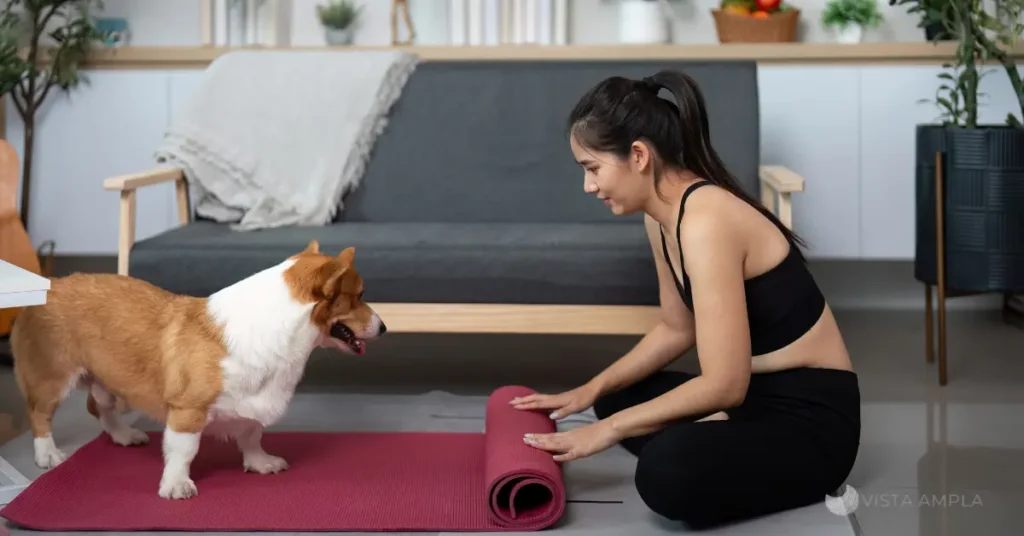 Pessoa a praticar Yoga matinal com seu cão num ambiente iluminado, demonstrando a rotina de Doga para reduzir o stresse e a ansiedade.