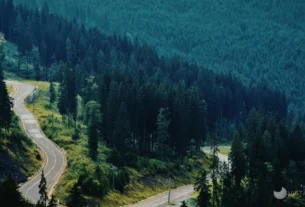 Viajar para descansar a mente - funciona mesmo?