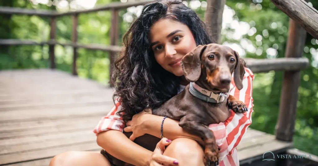 atenção plena com seu cachorro