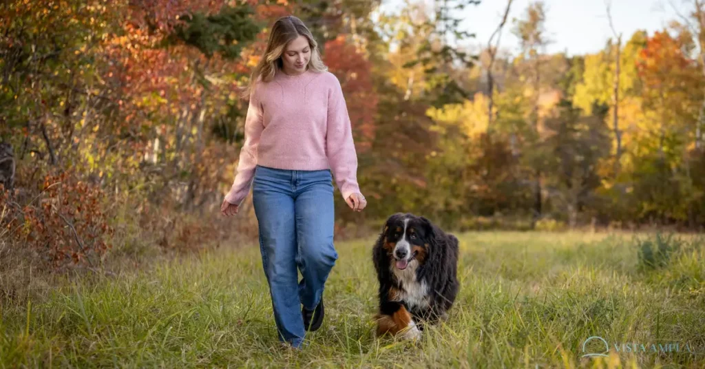 atenção plena com seu cachorro