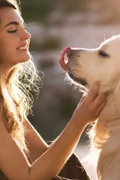 Quando Você Acaricia Seu Cachorro