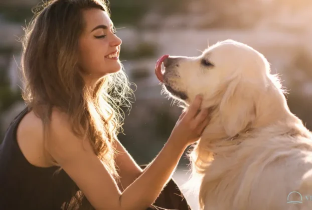 Quando Você Acaricia Seu Cachorro