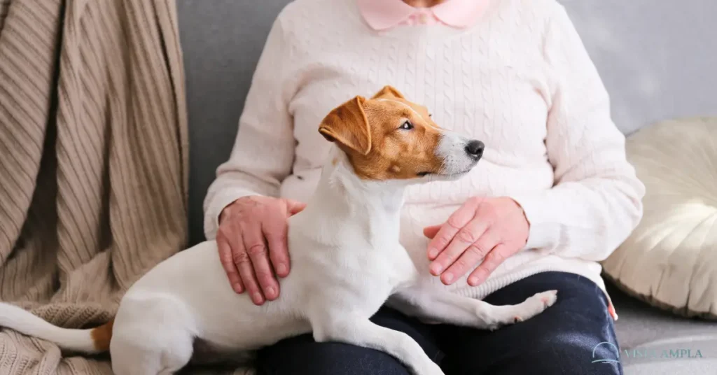 Seu Cachorro vive no presente2