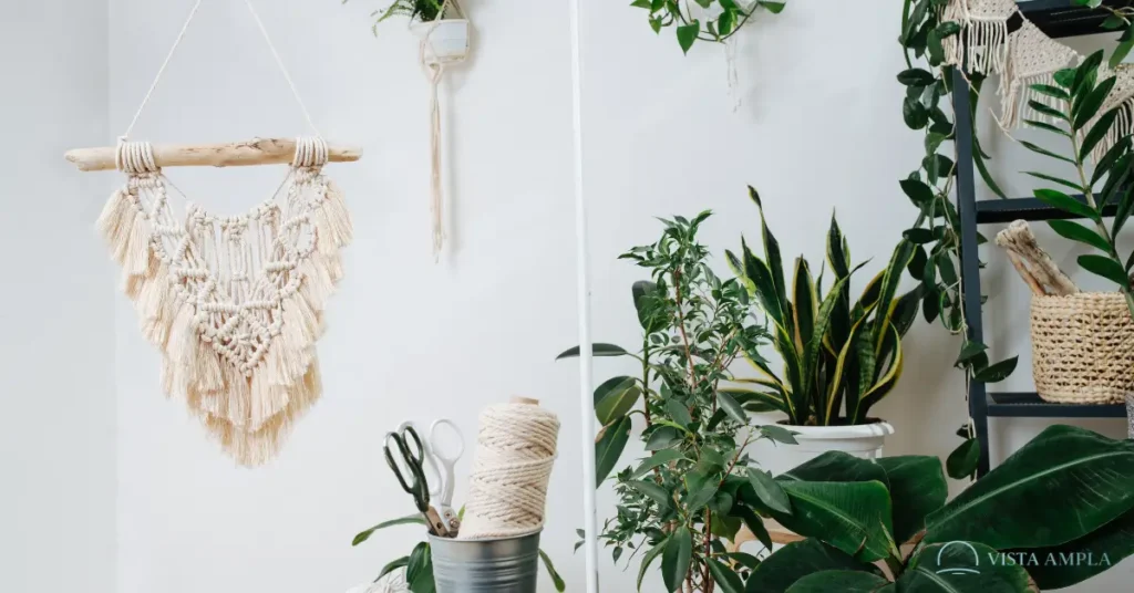 Plantas Ajudam no Bem-Estar