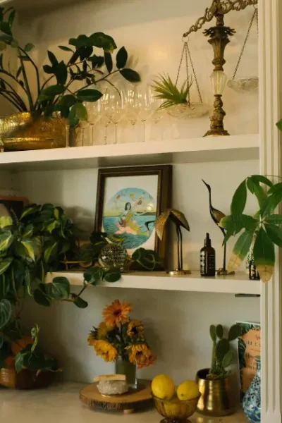 Plantas Ajudam no Bem-Estar