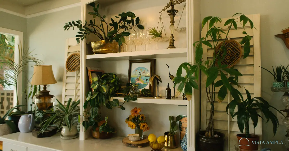 Plantas Ajudam no Bem-Estar Emocional ou É Só Estética?